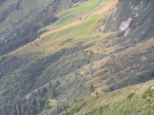 Alp de groven1